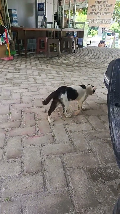 someone passed by #longroaddon'tforgettogohome