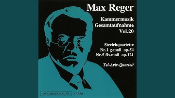 String Quartet No. 1 in G Minor, Op. 54 No. 1: I. Allegro agitato