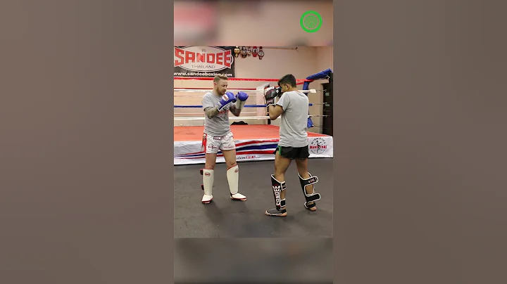 Muay Thai - BIG Body Shot off the Fake with Andy H...
