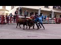 Encierro Pradilla de Ebro (Zaragoza) - 26/02/2022 - HD