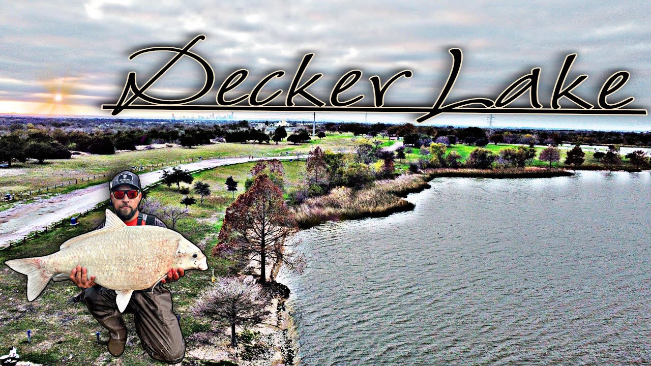 Catching GIANT Buffalo fish in Austin Texas **Decker Lake**