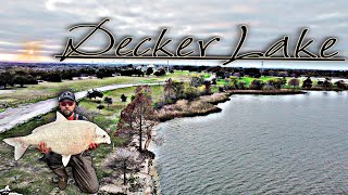 Catching GIANT Buffalo fish in Austin Texas **Decker Lake** | How to make carp bait