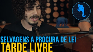 Tarde Livre - Selvagens a procura de lei | ELEFANTE SESSIONS