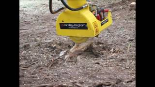 Mini Digger Stump Grinder