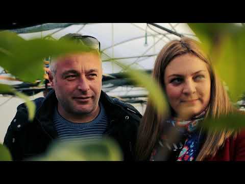 UNDP , გორის კოლეჯი \"განთიადი\