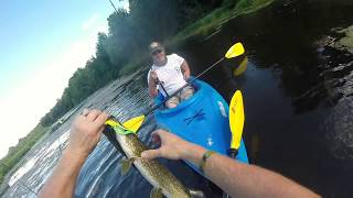 Catching Bass, Pike, and Bowfin While Kayak Fishing