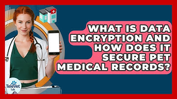 What Is Data Encryption And How Does It Secure Pet Medical Records? - TeleVet Talk