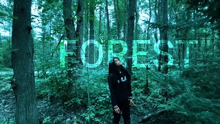 FOREST|Cinematic Short Film|Iphone12Pro|DJI OM5 by the Vlogger j 119 views 1 year ago 3 minutes, 47 seconds