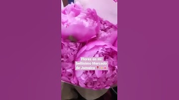 Thumbnail of Nada como las flores 🇲🇽✨🌸 #florista #floristas