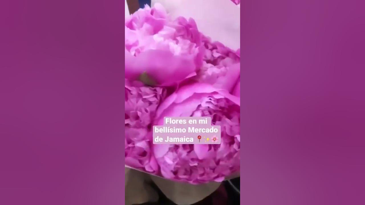 Nada como las flores 🇲🇽✨🌸 #florista #floristas