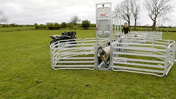 Alligator Mobile Sheep Handling System 2016