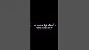 كروما {ثُمَّ قَسَتْ قُلُوبُكُمْ مِّن بَعْدِ ذٰلِكَ} | من سورة البقرة للقارئ الشيخ الآسر ياسر الدوسري