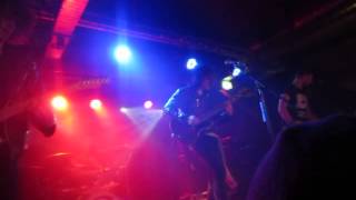 Carl Barât & The Jackals - Victory Gin