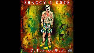 Shaggy 2 Dope - F.T.F.O.M.F. [Vinyl Record Edition] (Side D)
