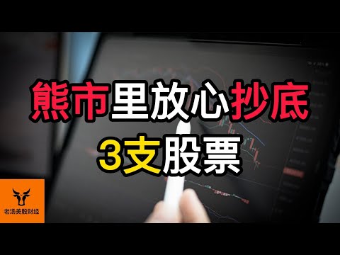 熊市里可以放心抄底的3支股票! 其中一支新开仓!【美股分析】