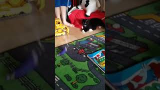 cat playing with me and nu best Friends