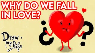 WHY do we FALL IN LOVE? 😍 | Draw My Life