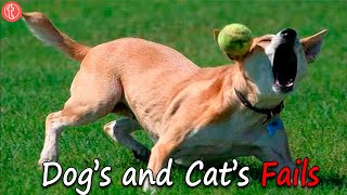 TRY NOT TO LAUGH WHILE WATCHING FUNNY DOGs and Cats FAILS [Part 2]