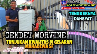 Download Lagu Aksi CENDET MORVINE tunjukan kwalitas di MAHADEWA SF isian tengkek lengkap_ @sultanakbar MP3
