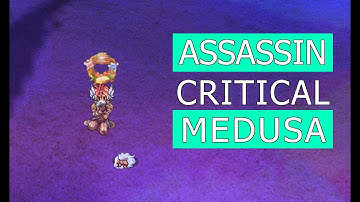Ragnarok | Assassin Critical Build Leveling Medusa | Kamonway