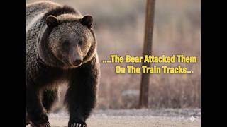 Scary Bear Attacks: Saskia Roggezeen Was Attacked By A Grizzly Bear On The Train Tracks