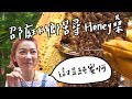 全台手播【庭開新der】小農系列：Honey桑是誰？邵庭下鄉苦尋