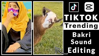 Bakri Sound Tiktok New Trend | Capcut Photo Transition Video Editing Tutorial screenshot 4