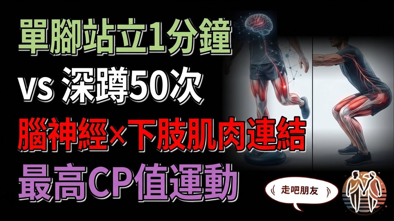 單腳站立1分鐘 vs 深蹲50次 強化腦神經與下肢肌肉連結的最高CP值運動