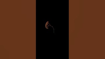 Amazing tree 🌴 🌴 using python ||#python #programming #viralvideo #code #shorts #shortvideo #youtube