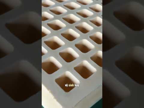 Video nệm Việt Nhật