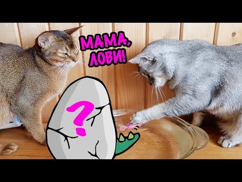 Вскрываем РАСТУЩИЕ ЯЙЦА в воде! Бешеный робот против зверодеток!