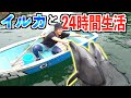 【24時間】水族館で&quot;イルカ&quot;と生活したら本当に奇跡が起きた。