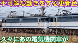 真夏に天日干しされてた国鉄型電気機関車が9ヶ月ぶりに躍動！新たな車両を連れて来る