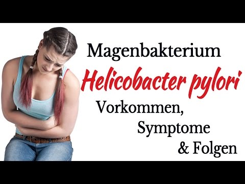 Helicobacter Pylori Symptome, Vorkommen und Folgen