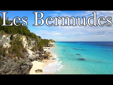 Vidéo: Les Bermudes Annulent L'interdiction Du Mariage Homosexuel Après Le Boycott Des Voyages - Réseau Matador