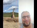 ٣١ يوليو ٢٠٢٤
