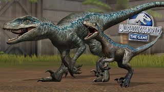 Beta and Blue Reunited!!! | Jurassic World - The Game - Ep532 HD
