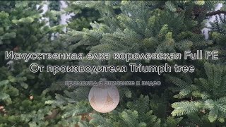 Искусственная елка triumph tree Королевская премиум full PE 100% литая - Краткий обзор и где купить