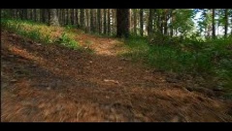 Feeling Lost In Your Twenties | Finding Your Path |