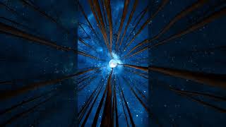 Alone with the Moon 🌙 | Midnight Forest Vibes screenshot 4