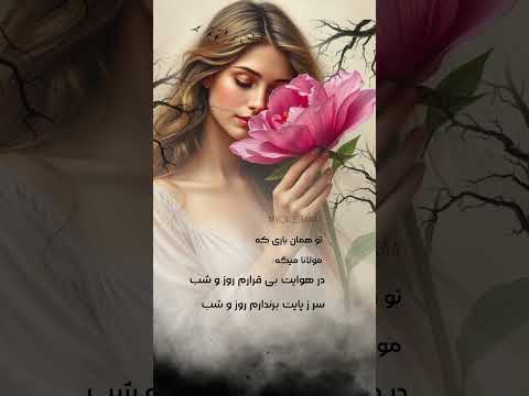 تو همان یاری که مولانا میگه سابسکرایب لایک