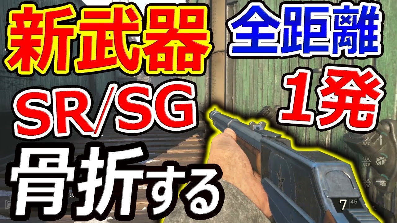 CoD:WW2】新武器がSG/SRの性能で最強!!『骨折する銃で有名』【レバー