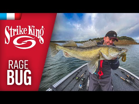 Leurre Souple Strike King Rage Bug 10cm - Fish & Ship