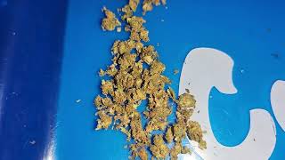 Visual Strain Review: Pancakes by Kuda. 🔥🔥