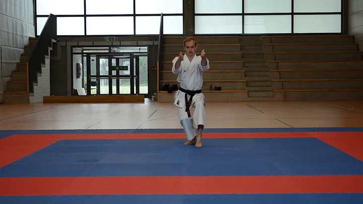 SPORTDATA E-TOURNAMENT WORLD SERIES - KATA #3 - JA...