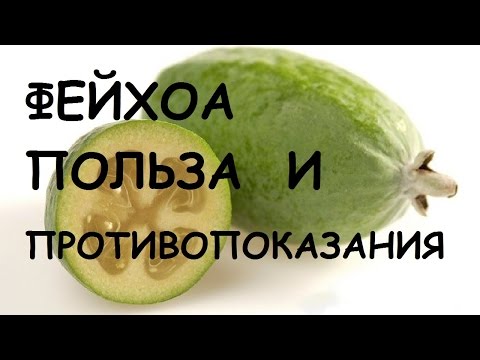 Фейхоа. Полезные Свойства И Противопоказания.