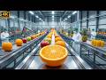 Fresh Orange Juice Production Line From Farm Harvest to Factory Processing Process