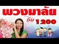 พวงมาลัยเงิน รับปริญญา ง่ายๆ EP.1 แบงค์100 | World's Easiest Money Lei Tutorial | DIY ง่ายนิดเดียว