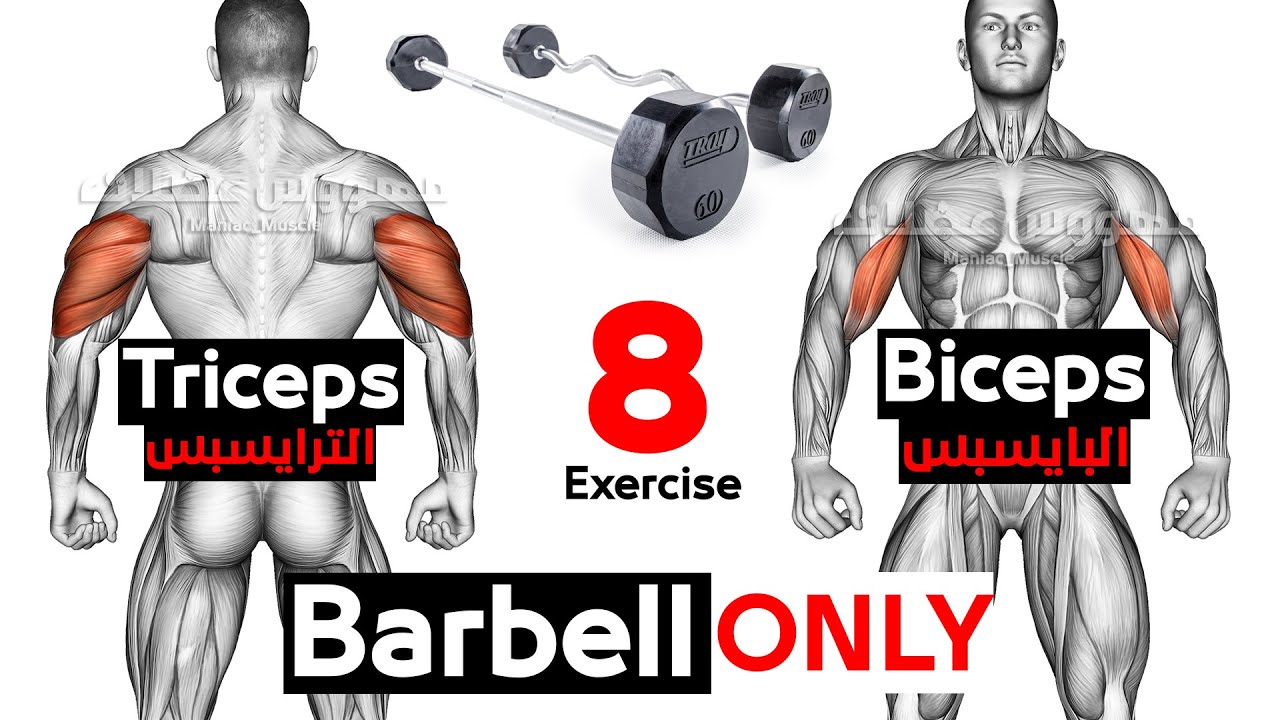 Biceps And Triceps Workout Using Only