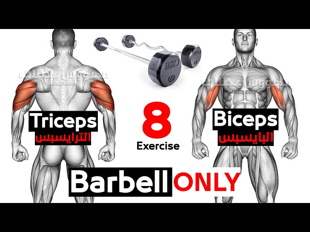 Biceps And Triceps Workout Using Only